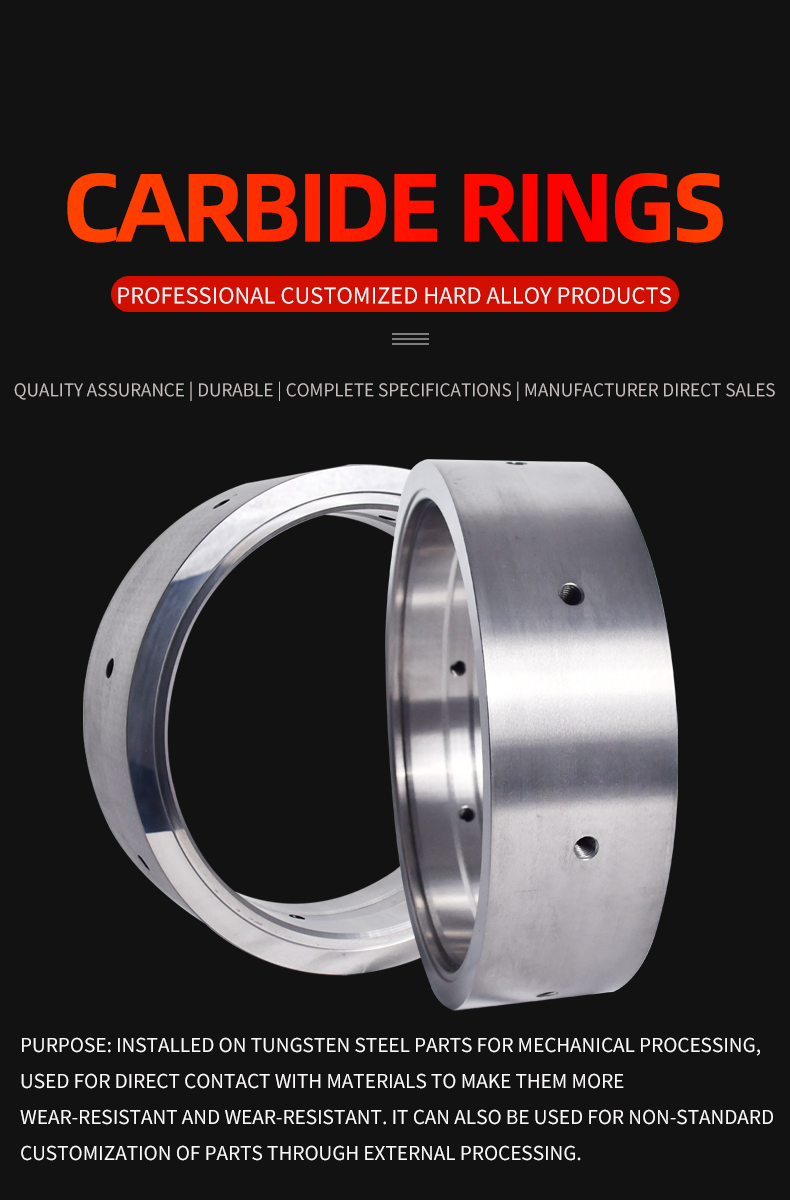 Hartmetallring (1)